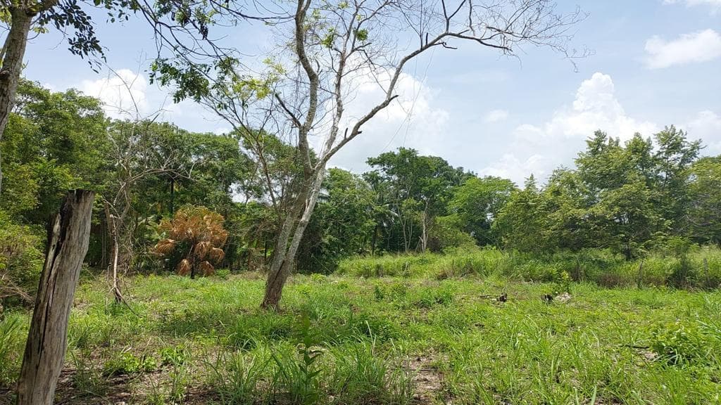Terreno en Col. Aaron Merino — foto 1